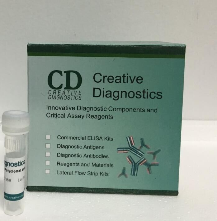 Monoclonal Antibody Production